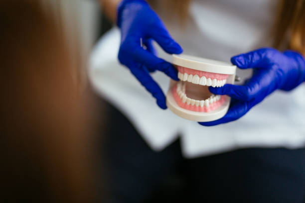Reliable Silsbee, TX  Holistic Dental Services Solutions